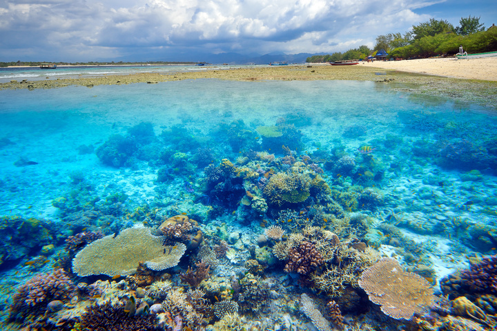 Koraalrif Eiland Gili Trawangan Indonesie